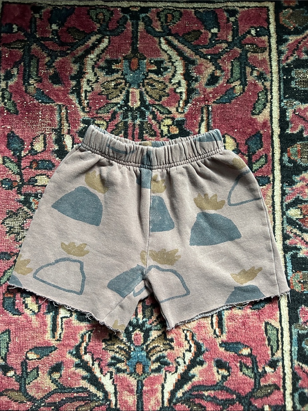 Volcano Shorts 4/5Y